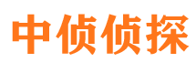 宿城调查事务所